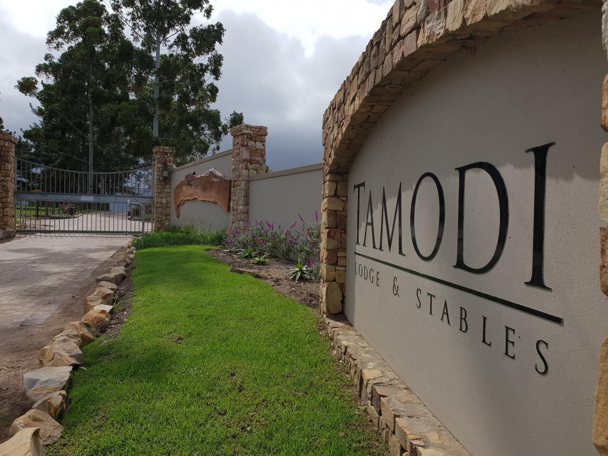 Tamodi Lodge Plettenberg Bay Esterno foto