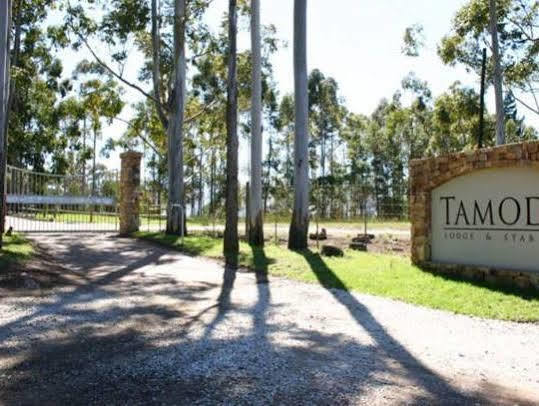 Tamodi Lodge Plettenberg Bay Esterno foto